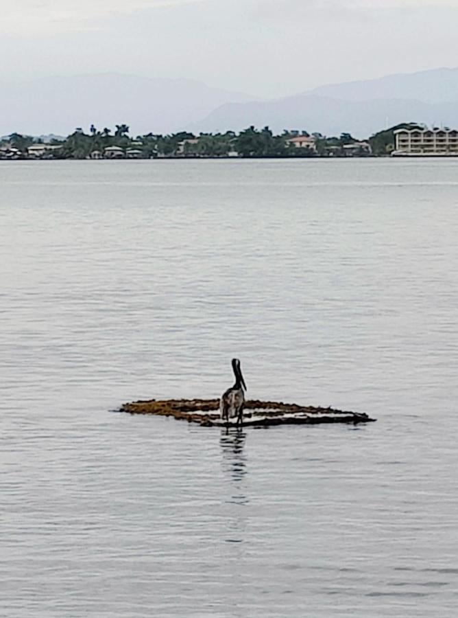 Sol Y Sombra Panzió Bocas Town Kültér fotó